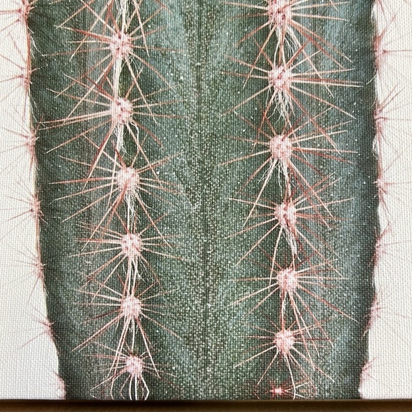 “Sylvie” Pink Cactus Flower Framed Canvas Art - Amy Peterson 18 in. x 24 in. - Picture 4 of 15